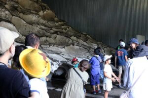 �e�q�Ŋy�������n�̌��I �}�C�J�[�Ŋy���ށuJA�_�Y���������Ɣ_�Ƒ̌��h���C�u�����[�v���N���J�Ẩ摜9