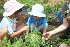 �e�q�Ŋy�������n�̌��I �}�C�J�[�Ŋy���ށuJA�_�Y���������Ɣ_�Ƒ̌��h���C�u�����[�v���N���J�Ẩ摜17