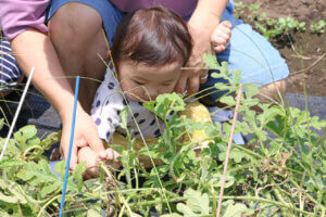 �e�q�Ŋy�������n�̌��I �}�C�J�[�Ŋy���ށuJA�_�Y���������Ɣ_�Ƒ̌��h���C�u�����[�v���N���J�Ẩ摜18