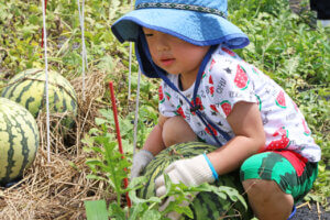 �e�q�Ŋy�������n�̌��I �}�C�J�[�Ŋy���ށuJA�_�Y���������Ɣ_�Ƒ̌��h���C�u�����[�v���N���J�Ẩ摜19