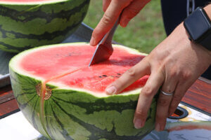 �e�q�Ŋy�������n�̌��I �}�C�J�[�Ŋy���ށuJA�_�Y���������Ɣ_�Ƒ̌��h���C�u�����[�v���N���J�Ẩ摜24