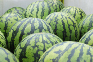 �e�q�Ŋy�������n�̌��I �}�C�J�[�Ŋy���ށuJA�_�Y���������Ɣ_�Ƒ̌��h���C�u�����[�v���N���J�Ẩ摜23