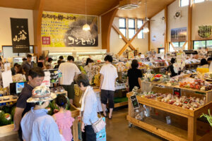 �e�q�Ŋy�������n�̌��I �}�C�J�[�Ŋy���ށuJA�_�Y���������Ɣ_�Ƒ̌��h���C�u�����[�v���N���J�Ẩ摜32