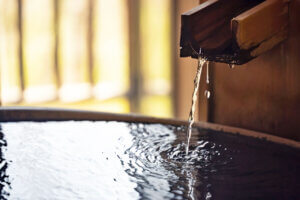 �e�q�Ŋy�������n�̌��I �}�C�J�[�Ŋy���ށuJA�_�Y���������Ɣ_�Ƒ̌��h���C�u�����[�v���N���J�Ẩ摜29