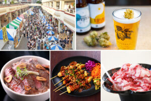 ɍsVCxgb8/5()`9()̉摜2