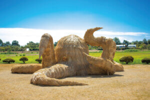 ɍsVCxgb9/9()`13()̉摜4