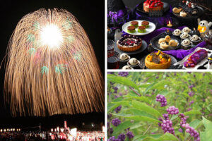 ɍsVCxgb9/9()`13()̃C摜