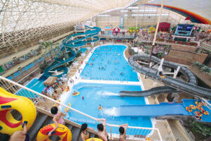 ���؂�ԋ߁I�v�`�p���P�[�L���[�J�[��R�[�q�[���Z�b�g�ȂǍ��v42���ɁI10/24(��)���ߐ؂蕪�����t���̉摜6