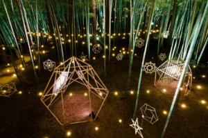 ���T���̐V���C�x���g���b9/14(�y)�`16(����j)�J�Ẩ摜11