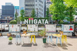 ���T���̐V���C�x���g���b9/14(�y)�`16(����j)�J�Ẩ摜4