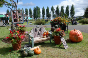 ���T���̐V���C�x���g���b9/28(�y)�29(��)�J�Ẩ摜14