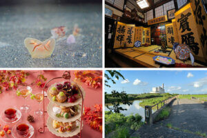 ɍsVCxgb9/30()`10/4()̃C摜