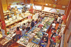 �n��̖��͂����ځI�V���́u���̉w�v30�I�@�g�t�V�[�Y���̂��ł����X�|�b�g�ɂ��������߂̉摜71