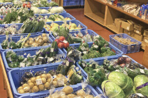 �n��̖��͂����ځI�V���́u���̉w�v30�I�@�g�t�V�[�Y���̂��ł����X�|�b�g�ɂ��������߂̉摜72