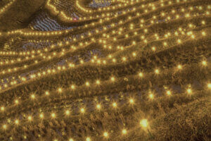 �����ɍs����V���C�x���g���b10/21(��)�`25(��)�̉摜6