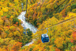 2025�b�V���̐�i�g�t�X�|�b�g ����30�I�̉摜29