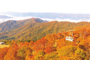 2025�b�V���̐�i�g�t�X�|�b�g ����30�I�̉摜25