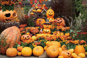 T̐VCxgb10/19(y)20()JẨ摜15