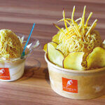 �{�����[����2�{�A���d��2�L�����I�u���̉w �뉀�̋� �ۓ��v�̐l�C���j���[���r�b�O�ȃf�J����œo��̉摜5