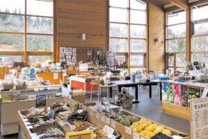 �n��̖��͂����ځI�V���́u���̉w�v30�I�@�g�t�V�[�Y���̂��ł����X�|�b�g�ɂ��������߂̉摜83