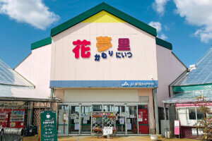 �n��̖��͂����ځI�V���́u���̉w�v30�I�@�g�t�V�[�Y���̂��ł����X�|�b�g�ɂ��������߂̉摜48