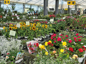 �n��̖��͂����ځI�V���́u���̉w�v30�I�@�g�t�V�[�Y���̂��ł����X�|�b�g�ɂ��������߂̉摜45