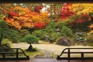 2025�b�V���̐�i�g�t�X�|�b�g ����30�I�̉摜3