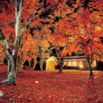 �V���̍g�t���C�g�A�b�v����5�I�@�v�킸�����̂ޏH�̐�i�I�̃��C���摜