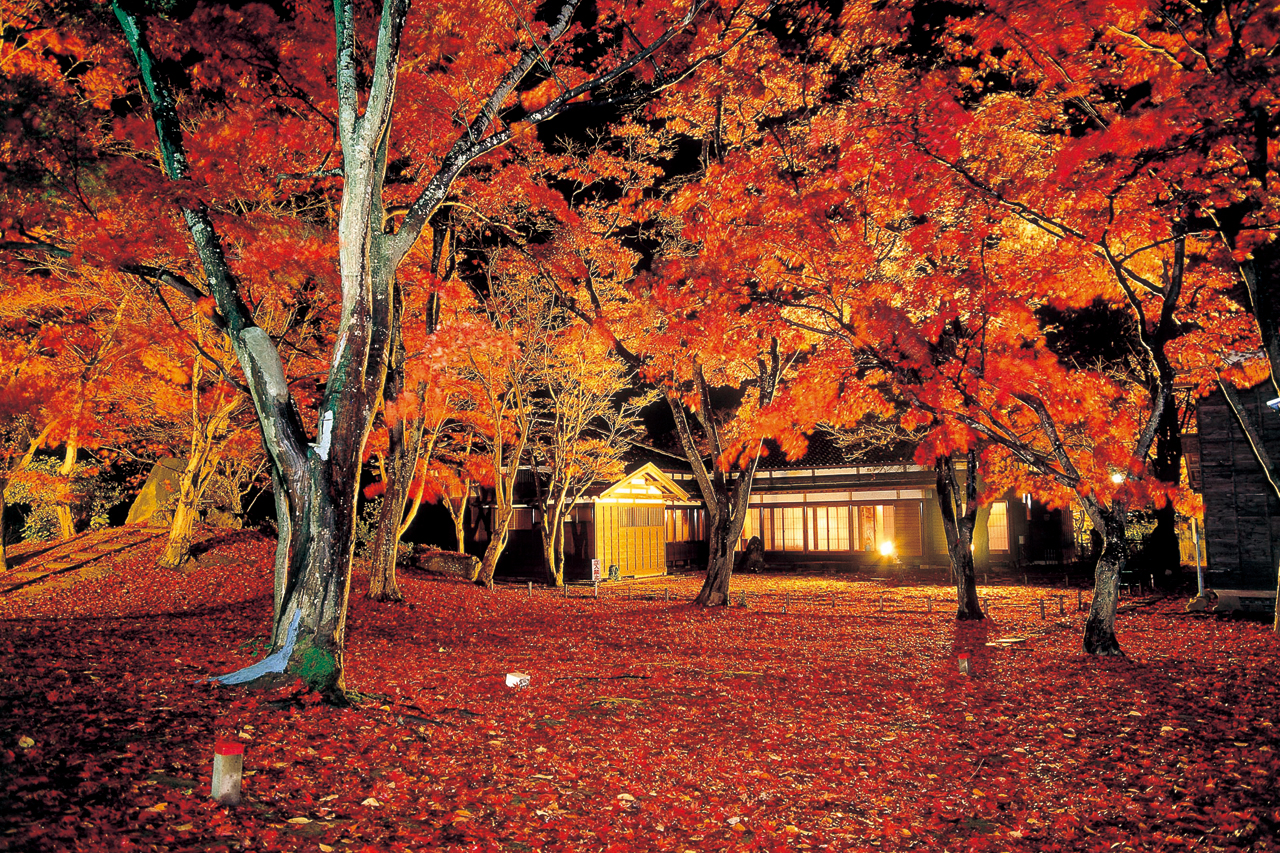 秋山郷｜&Komachi