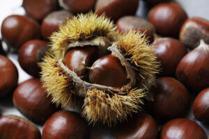 �����ɍs����V���C�x���g���b10/21(��)�`25(��)�̉摜3