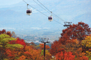 2025�b�V���̐�i�g�t�X�|�b�g ����30�I�̉摜36