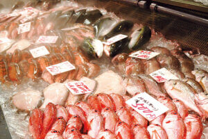 �n��̖��͂����ځI�V���́u���̉w�v30�I�@�g�t�V�[�Y���̂��ł����X�|�b�g�ɂ��������߂̉摜100