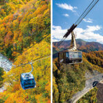 �����ɍs����V���C�x���g���b10/7(��)�`11(��)�̉摜7