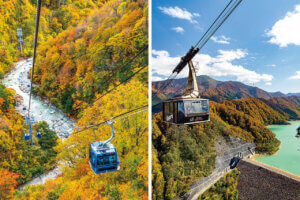 �����ɍs����V���C�x���g���b10/7(��)�`11(��)�̉摜7