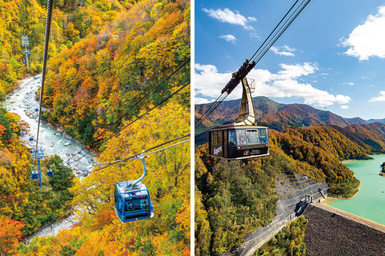 �����ɍs����V���C�x���g���b10/7(��)�`11(��)�̉摜7