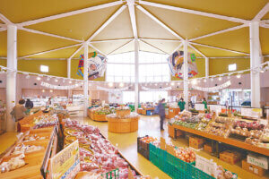 �n��̖��͂����ځI�V���́u���̉w�v30�I�@�g�t�V�[�Y���̂��ł����X�|�b�g�ɂ��������߂̉摜64