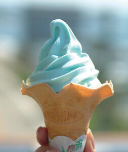 �n��̖��͂����ځI�V���́u���̉w�v30�I�@�g�t�V�[�Y���̂��ł����X�|�b�g�ɂ��������߂̉摜21