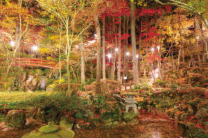 2025�b�V���̐�i�g�t�X�|�b�g ����30�I�̉摜22