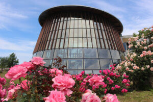 T̐VCxgb10/19(y)20()JẨ摜6