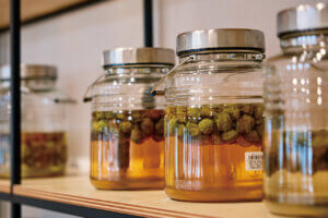 �n��̖��͂����ځI�V���́u���̉w�v30�I�@�g�t�V�[�Y���̂��ł����X�|�b�g�ɂ��������߂̉摜54