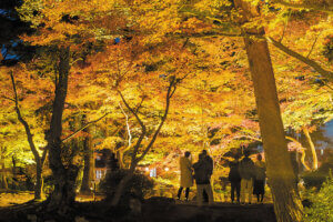 2025�b�V���̐�i�g�t�X�|�b�g ����30�I�̉摜7