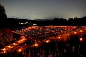 T̐VCxgb10/19(y)20()JẨ摜11