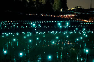 T̐VCxgb10/19(y)20()JẨ摜12