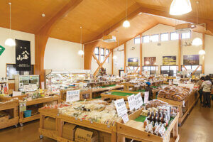 �n��̖��͂����ځI�V���́u���̉w�v30�I�@�g�t�V�[�Y���̂��ł����X�|�b�g�ɂ��������߂̉摜101