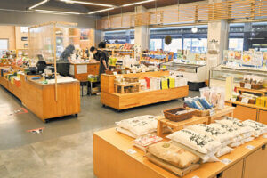 �n��̖��͂����ځI�V���́u���̉w�v30�I�@�g�t�V�[�Y���̂��ł����X�|�b�g�ɂ��������߂̉摜86