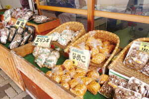 �n��̖��͂����ځI�V���́u���̉w�v30�I�@�g�t�V�[�Y���̂��ł����X�|�b�g�ɂ��������߂̉摜88