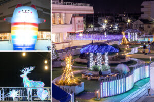 T̐VCxgb11/30(y)12/1()JẨ摜3