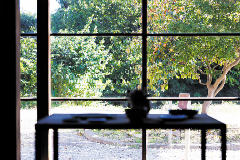 �킴�킴�����^�т����A�V���ł��ܘb��̏Ă��َq�X6���̉摜20