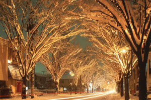 �����ɍs����V���C�x���g���b11/11(��)�`15(��)�̉摜2