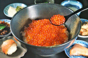 T̐VCxgb11/9(y)10()JẨ摜10